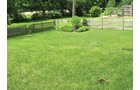 Property photo 5 - 3 Bedroom Ranch on Basement - Foster Park Area